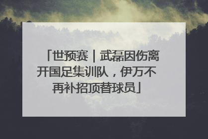 世预赛｜武磊因伤离开国足集训队，伊万不再补招顶替球员
