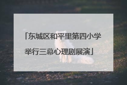 东城区和平里第四小学举行三幕心理剧展演
