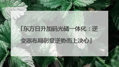东方日升加码光储一体化：逆变器布局彰显逆势而上决心