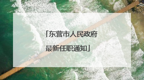 东营市人民政府最新任职通知