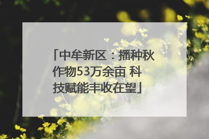 中牟新区：播种秋作物53万余亩 科技赋能丰收在望