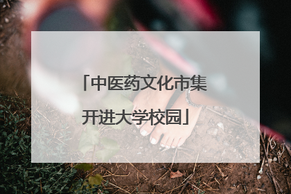 中医药文化市集开进大学校园