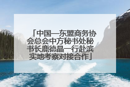 中国—东盟商务协会总会中方秘书处秘书长鹿德晶一行赴滨实地考察对接合作