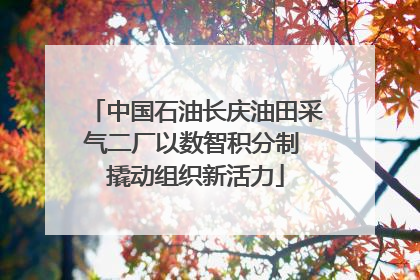 中国石油长庆油田采气二厂以数智积分制 撬动组织新活力