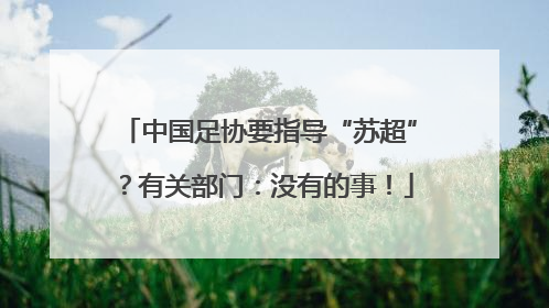 中国足协要指导“苏超”？有关部门：没有的事！