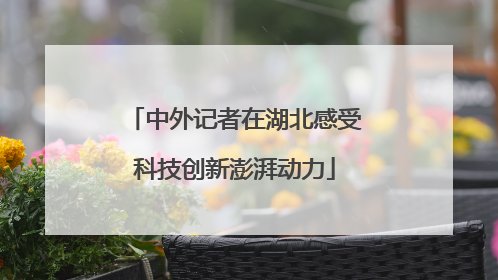 中外记者在湖北感受科技创新澎湃动力