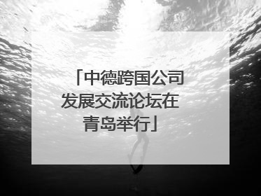 中德跨国公司发展交流论坛在青岛举行