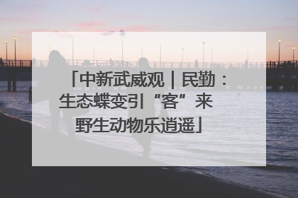 中新武威观｜民勤：生态蝶变引“客”来 野生动物乐逍遥