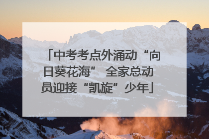 中考考点外涌动“向日葵花海” 全家总动员迎接“凯旋”少年