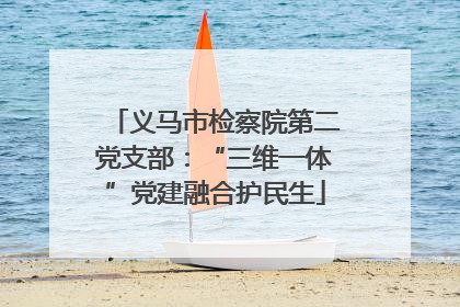 义马市检察院第二党支部：“三维一体”党建融合护民生