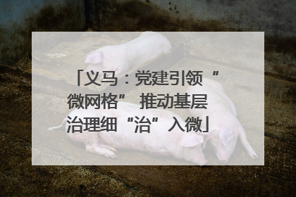 义马：党建引领“微网格” 推动基层治理细“治”入微