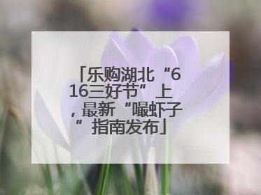 乐购湖北“616三好节”上，最新“嘬虾子”指南发布
