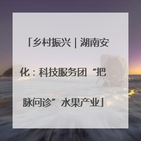 乡村振兴｜湖南安化：科技服务团“把脉问诊”水果产业