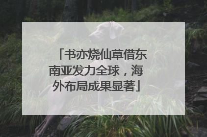 书亦烧仙草借东南亚发力全球，海外布局成果显著