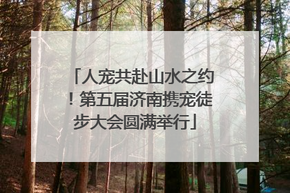人宠共赴山水之约！第五届济南携宠徒步大会圆满举行
