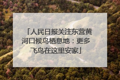 人民日报关注东营黄河口候鸟栖息地：更多飞鸟在这里安家