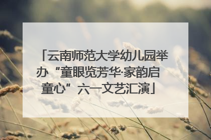 云南师范大学幼儿园举办“童眼览芳华·家韵启童心”六一文艺汇演