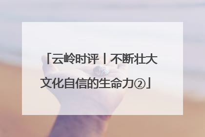 云岭时评丨不断壮大文化自信的生命力②