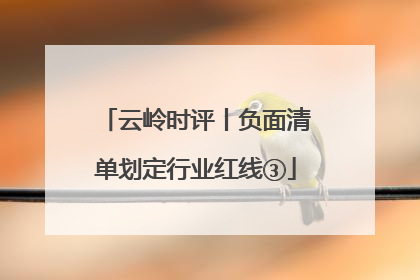 云岭时评丨负面清单划定行业红线③