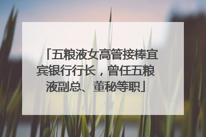 五粮液女高管接棒宜宾银行行长，曾任五粮液副总、董秘等职