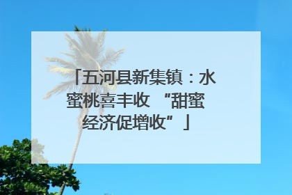 五河县新集镇：水蜜桃喜丰收 “甜蜜经济促增收”