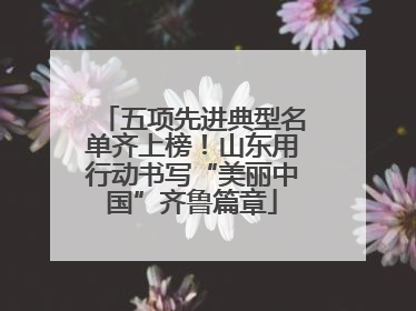 五项先进典型名单齐上榜！山东用行动书写“美丽中国”齐鲁篇章