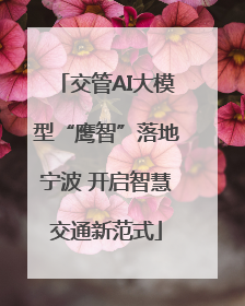 交管AI大模型“鹰智”落地宁波 开启智慧交通新范式