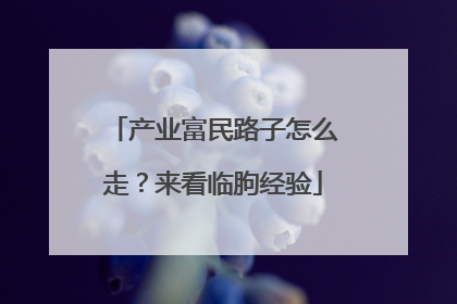 产业富民路子怎么走？来看临朐经验