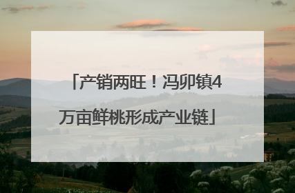 产销两旺！冯卯镇4万亩鲜桃形成产业链