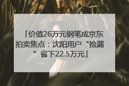 价值26万元钢笔成京东拍卖焦点：沈阳用户“捡漏”省下22.5万元