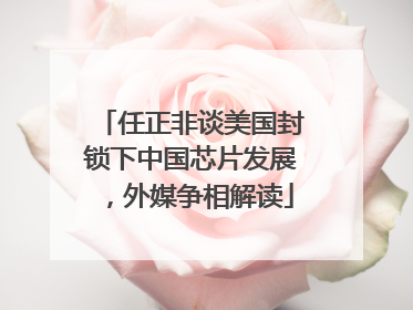 任正非谈美国封锁下中国芯片发展，外媒争相解读