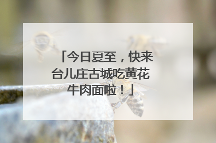 今日夏至，快来台儿庄古城吃黄花牛肉面啦！