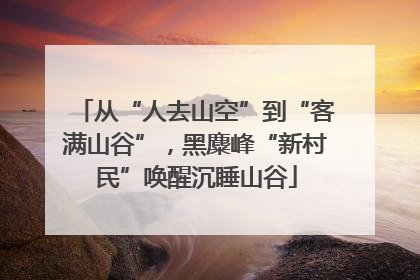 从“人去山空”到“客满山谷”，黑麋峰“新村民”唤醒沉睡山谷