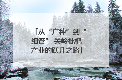 从“广种”到“细管” 关岭枇杷产业的跃升之路