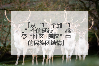 从“1”个到“11”个的延续——感受“社区+园区”中的民族团结情