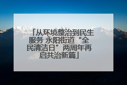 从环境整治到民生服务 永阳街道“全民清洁日”两周年再启共治新篇