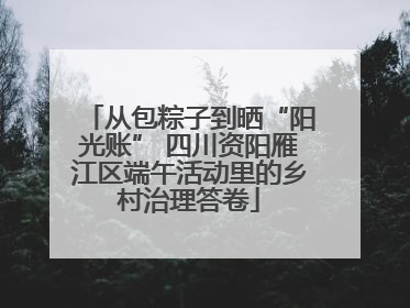 从包粽子到晒“阳光账” 四川资阳雁江区端午活动里的乡村治理答卷