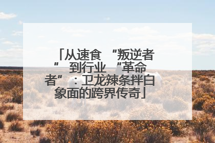 从速食 “叛逆者” 到行业 “革命者”：卫龙辣条拌白象面的跨界传奇