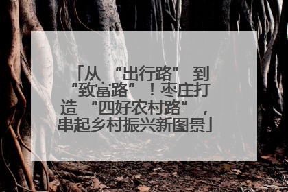 从 “出行路” 到 “致富路”！枣庄打造 “四好农村路”，串起乡村振兴新图景