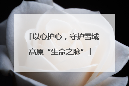 以心护心，守护雪域高原“生命之脉”