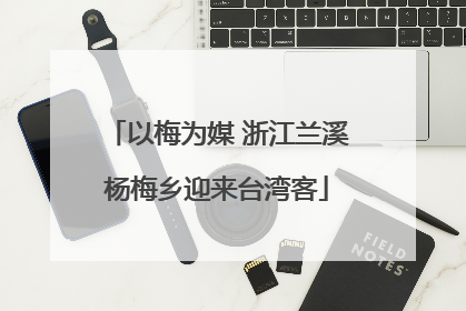 以梅为媒 浙江兰溪杨梅乡迎来台湾客