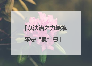 以法治之力绘就平安“枫”景