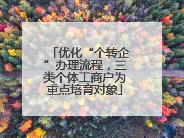 优化“个转企”办理流程，三类个体工商户为重点培育对象