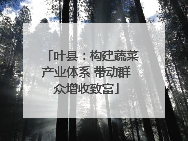 叶县：构建蔬菜产业体系 带动群众增收致富