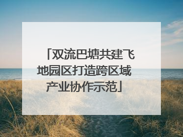 双流巴塘共建飞地园区打造跨区域产业协作示范