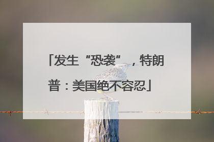发生“恐袭”，特朗普：美国绝不容忍