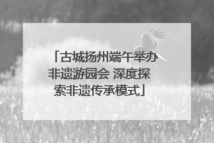古城扬州端午举办非遗游园会 深度探索非遗传承模式