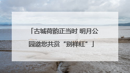 古城荷韵正当时 明月公园邀您共赏“别样红”