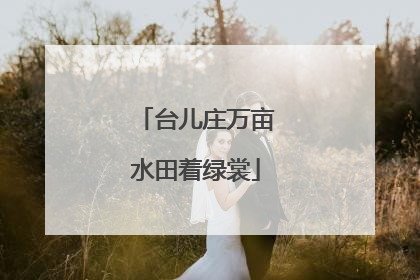 台儿庄万亩水田着绿裳
