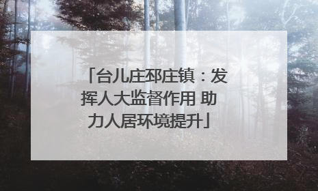 台儿庄邳庄镇：发挥人大监督作用 助力人居环境提升
